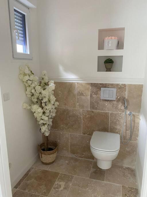 Apartament Hortillonne Amiens Zewnętrze zdjęcie